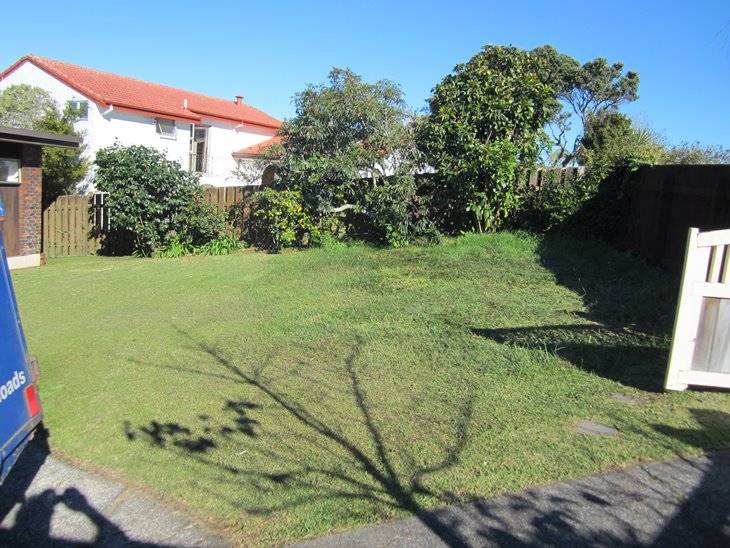 green garden waste removal